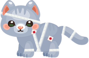 Bandaged Cat