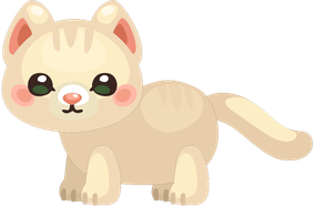 Cream Cat