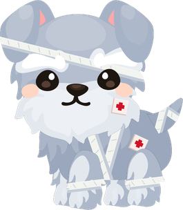 Bandaged Dog