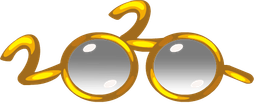 2020glasses