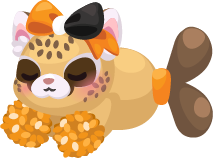 Football Clover Bear Fish
