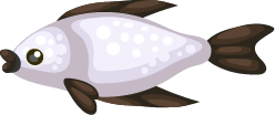 fish14