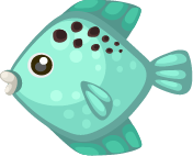 fish15