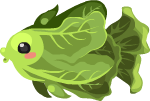Garden Lettuce Fish