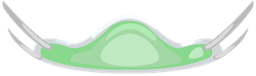 hallo2026_scrub1_mask