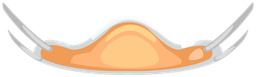 hallo2026_scrub2_mask