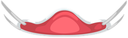 hallo2026_scrub3_mask
