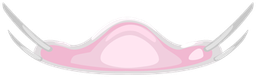 hallo2026_scrub4_mask