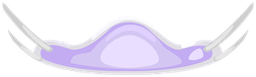 hallo2026_scrub7_mask