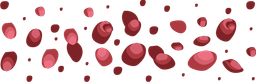 lovelyvalentine_flowers_carpet