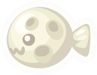 Soju Moon Fish