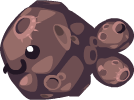 Asteroid Fish