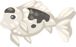 whiteblackfish